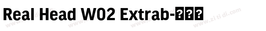 Real Head W02 Extrab字体转换